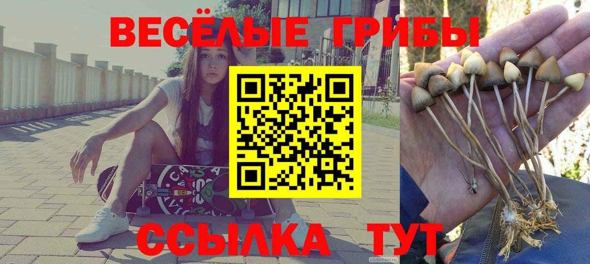 Галлюциногенные грибы прущие грибы  Вход с VPN  Кропоткин 